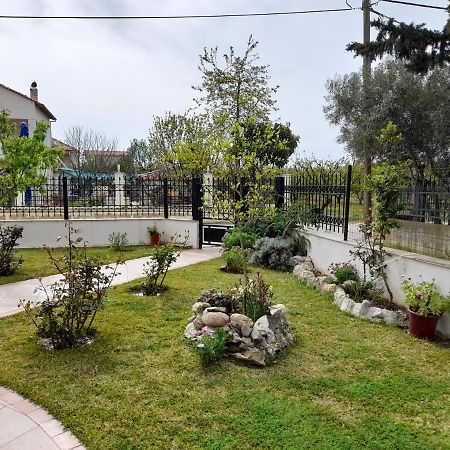 Villa Vangelis نيا بلاجيا المظهر الخارجي الصورة