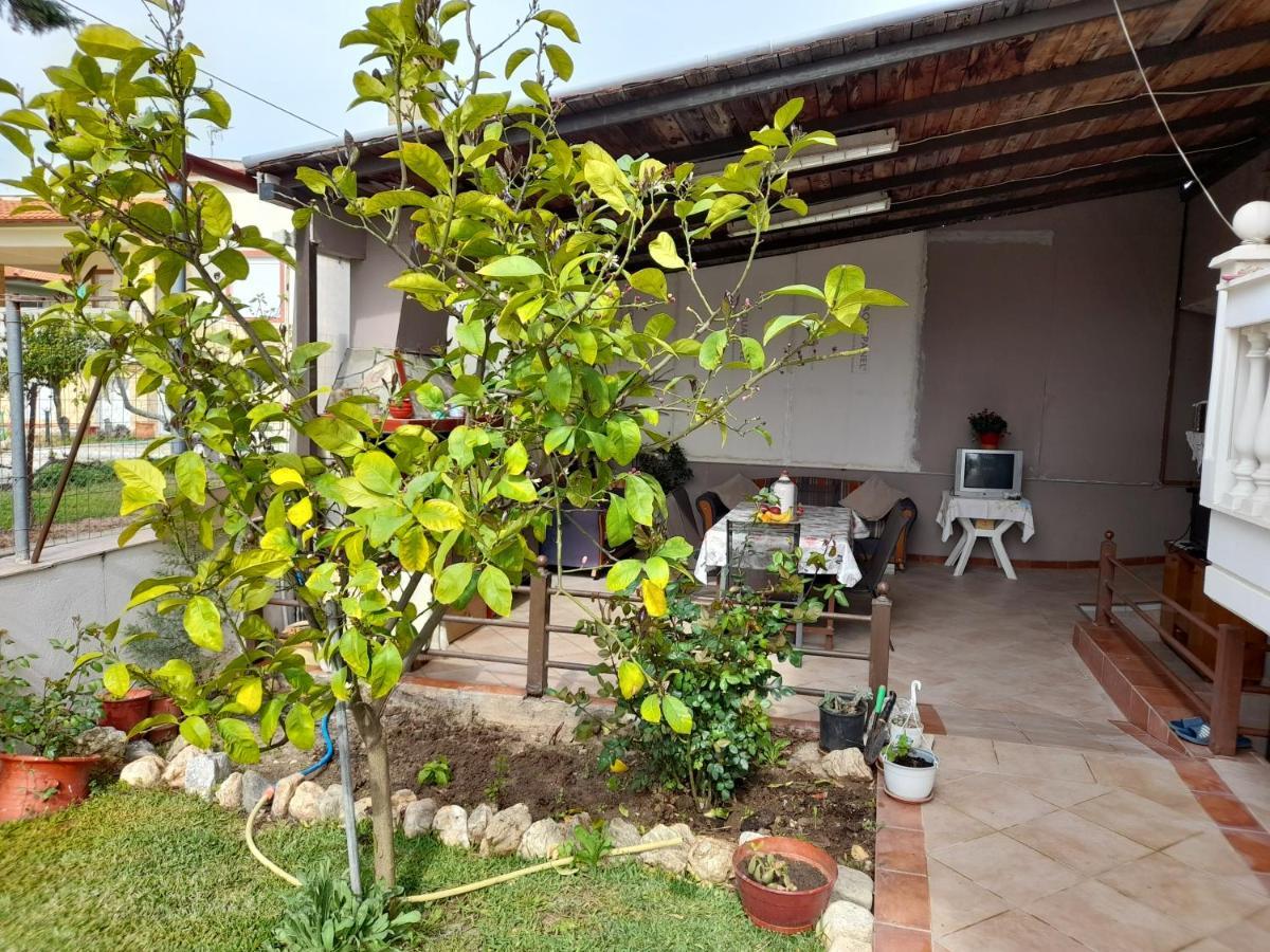 Villa Vangelis نيا بلاجيا المظهر الخارجي الصورة